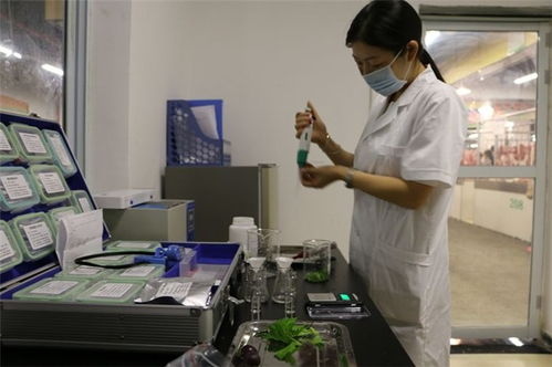 精誠致遠，保障安全 博羅農殘檢測報告的技術服務解讀